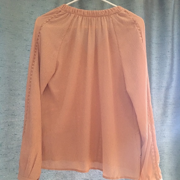 Revolve sheer chiffon blouse long sleeve blush - Picture 4 of 8